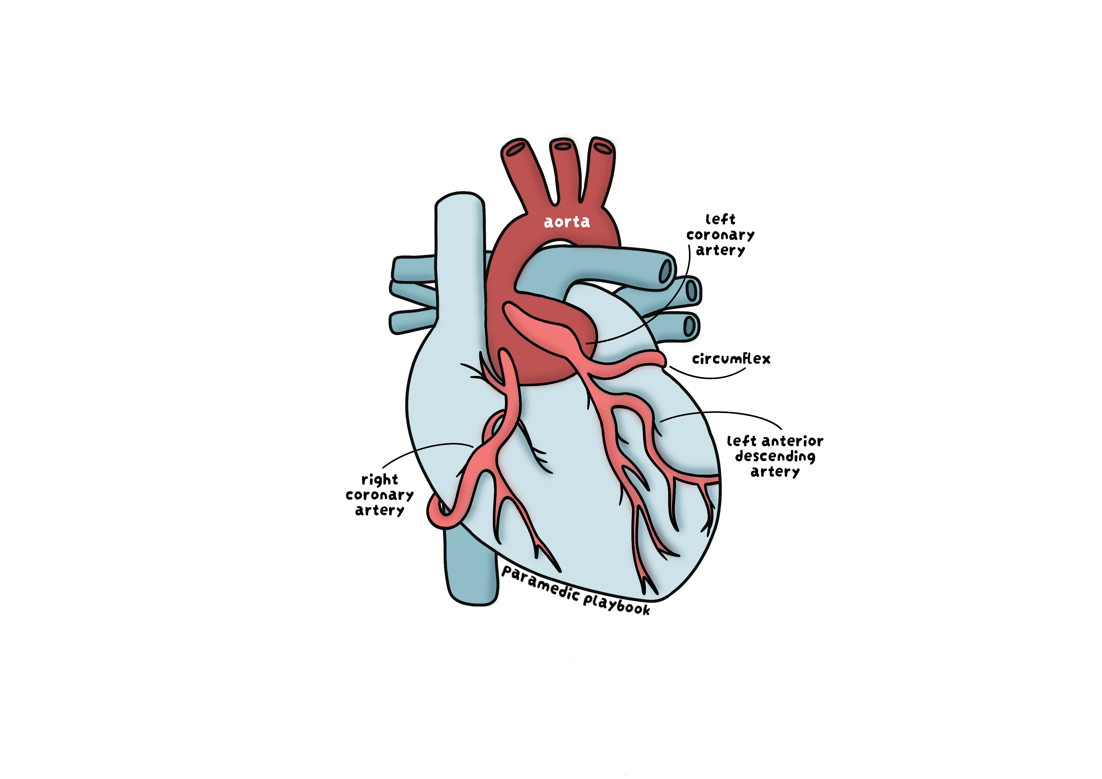 Artery Sticker
