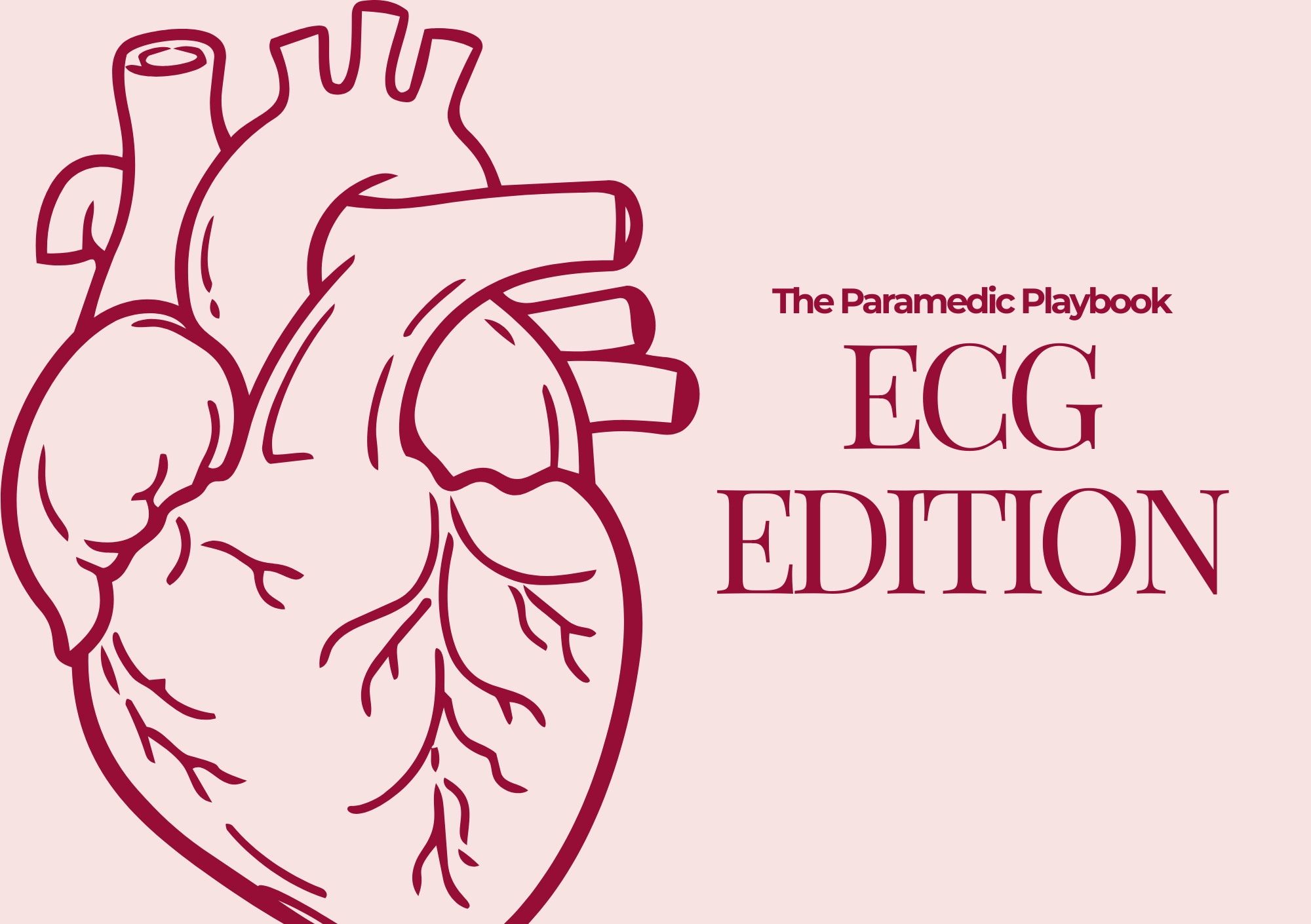 DIGITAL ECG BASIC FLASHCARDS