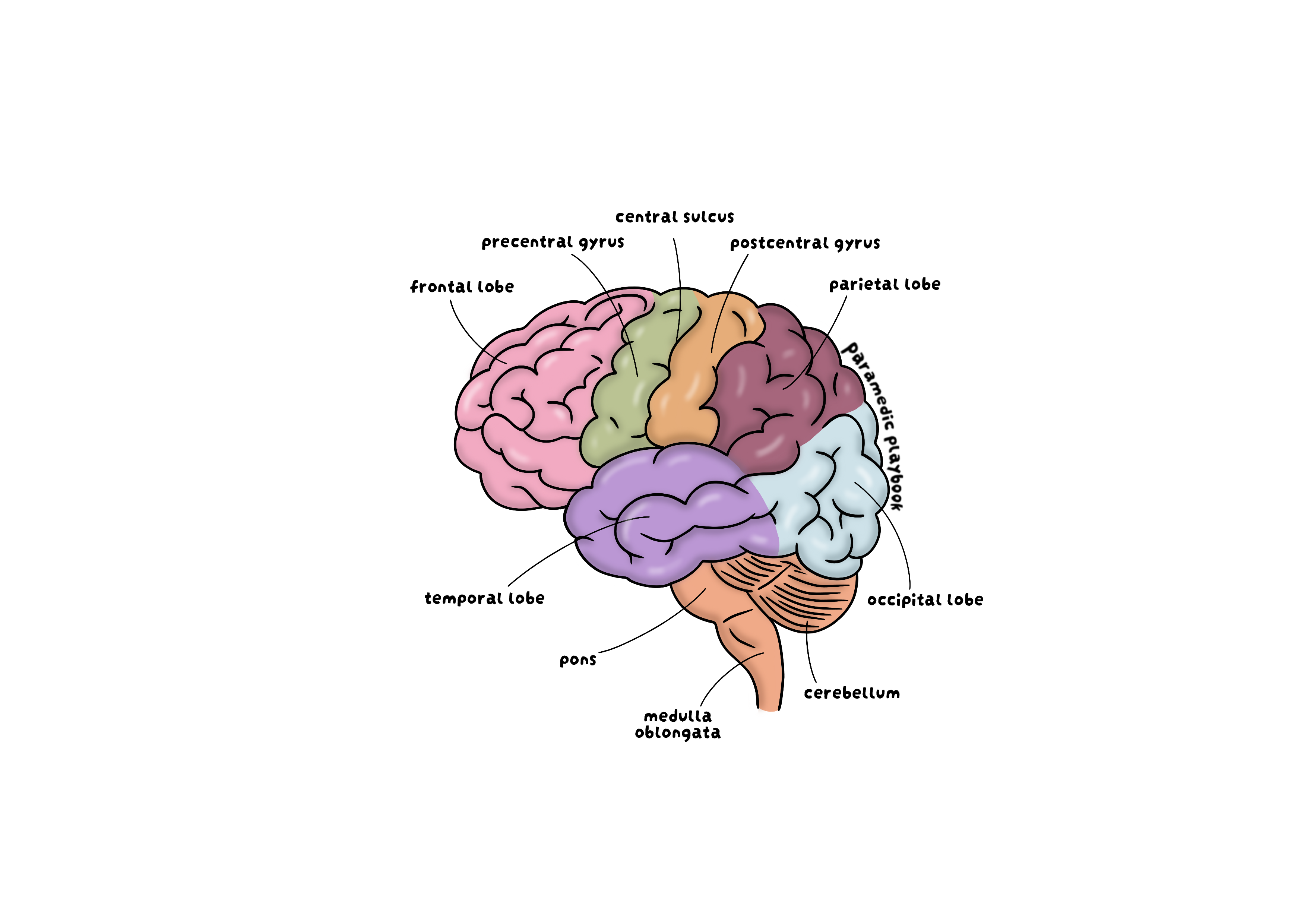 Brain Sticker