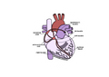 Conduction Sticker
