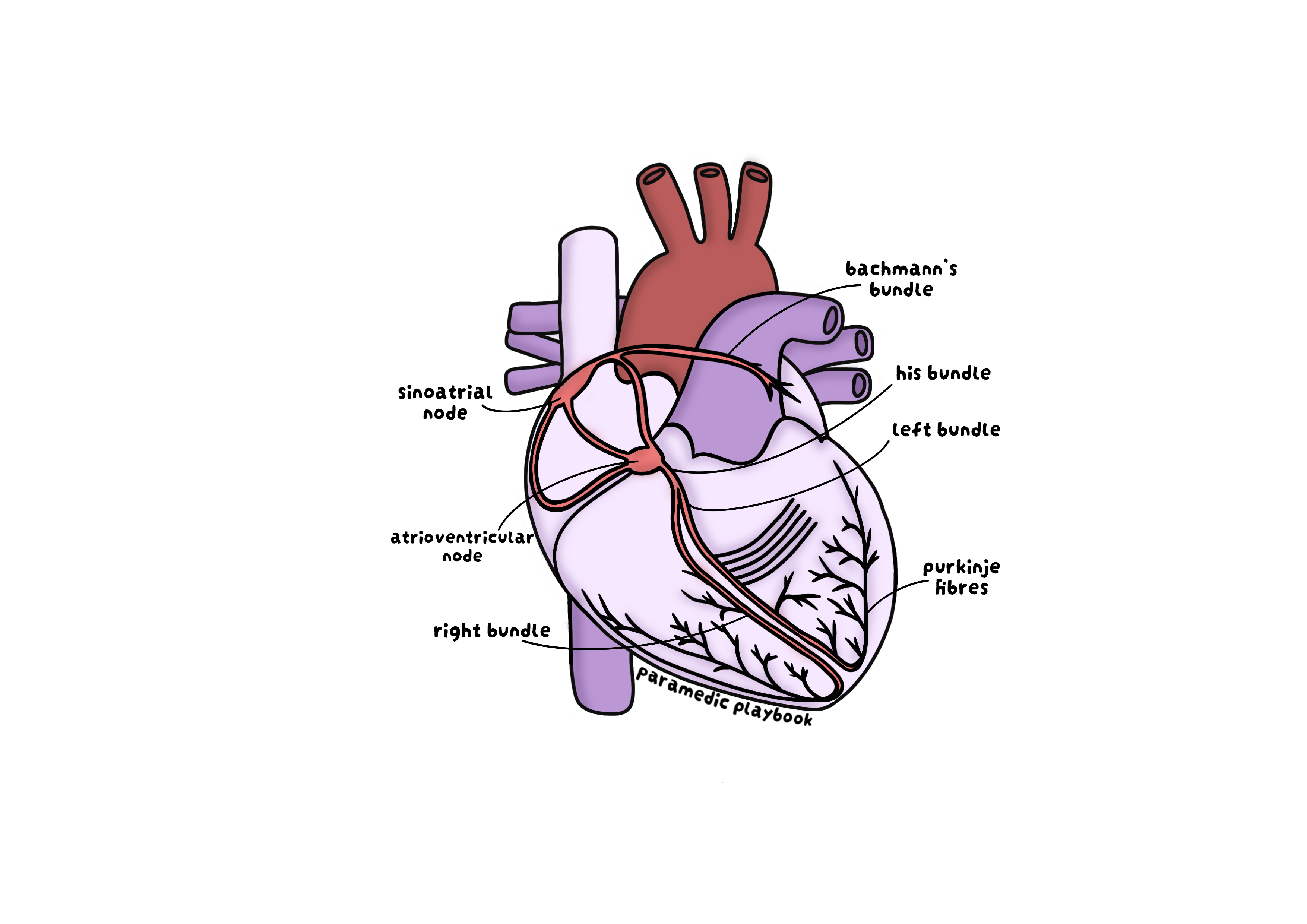 Conduction Sticker